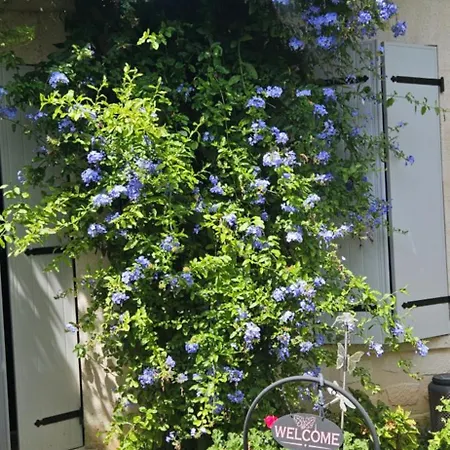 Domaine Du Lagon Bleu Homestay szállás