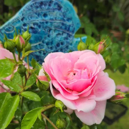 Domaine Du Lagon Bleu Homestay szállás